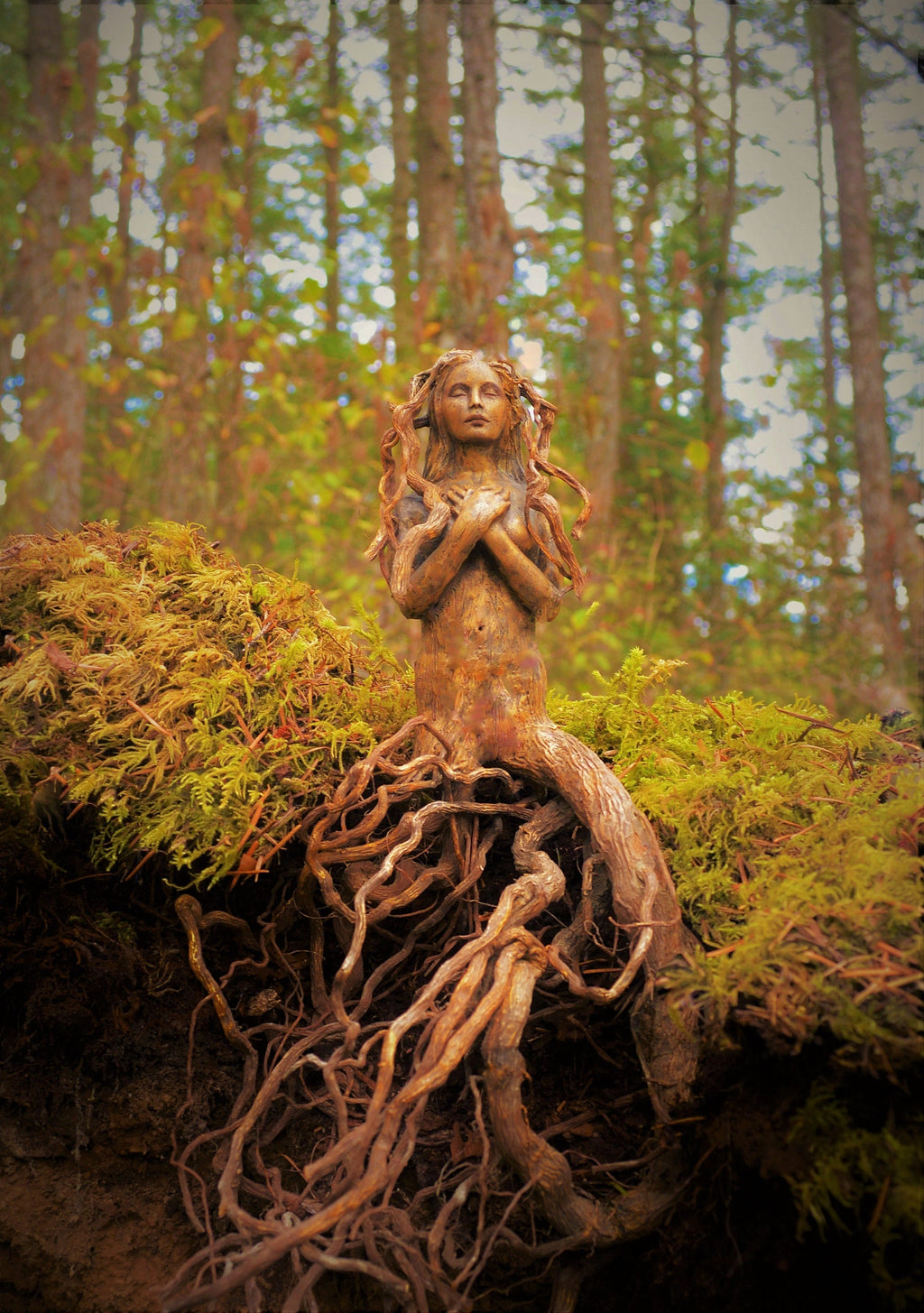 Any Image Canvas Print, Choose Your Size, FREE SHIPPING, ShapingSpirit, Debra Bernier