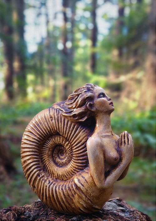 Ammonite Woman fossil inspired feminine sculpture spiritual nature art by Debra Bernier