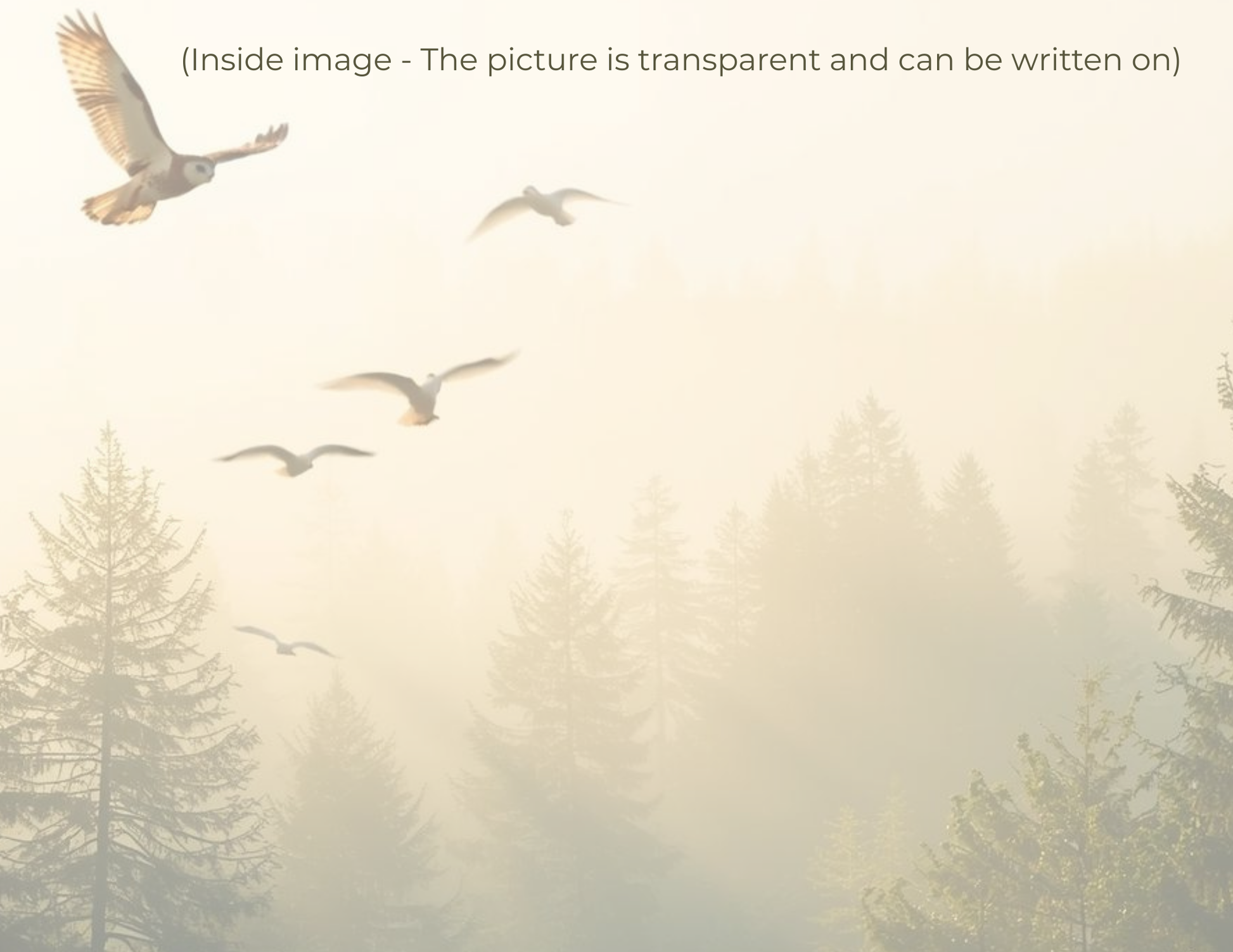Inside view of art card showing transparent artwork layer and writable interior
