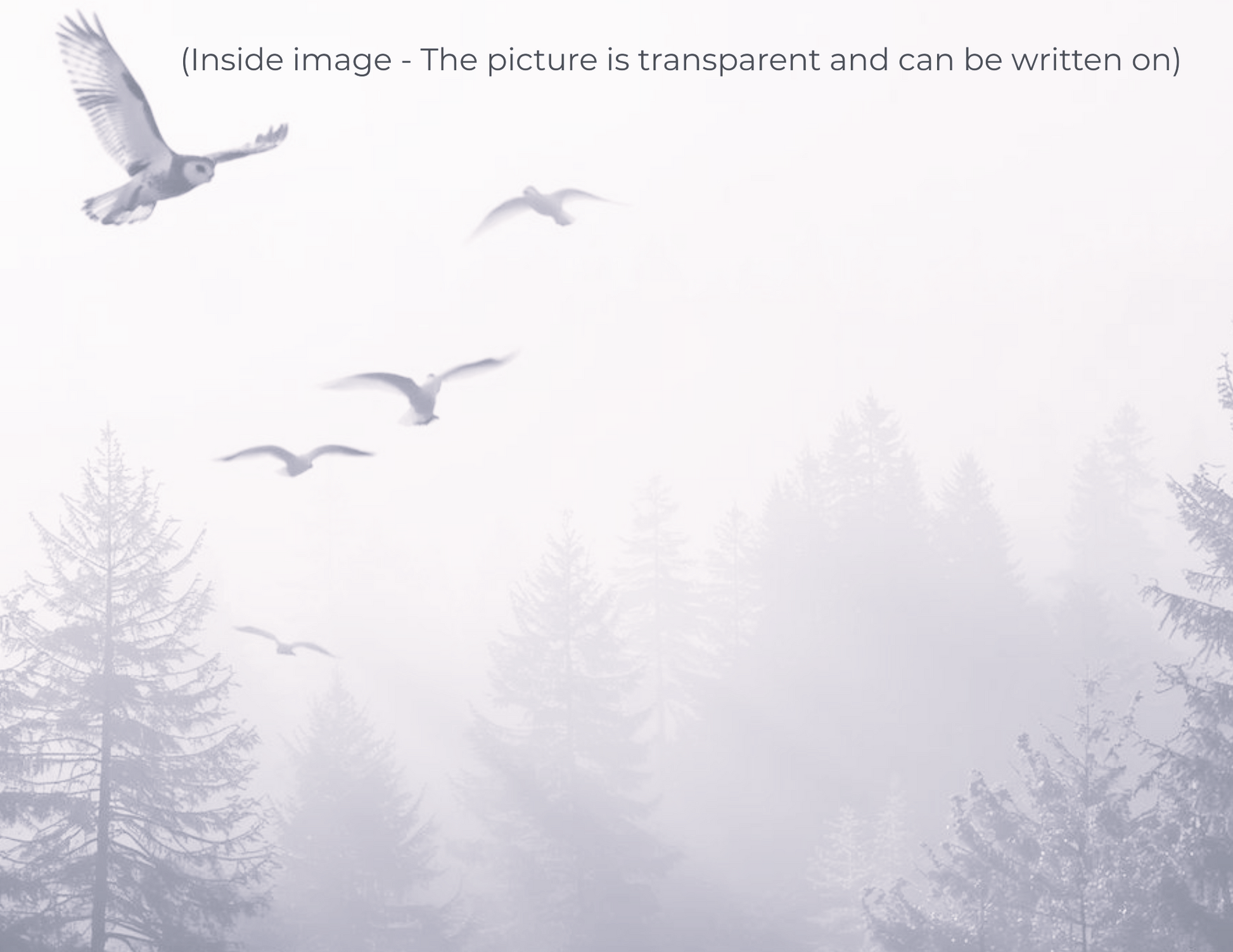 Free Spirit | Empowerment Art Card | Inspirational Greeting Card