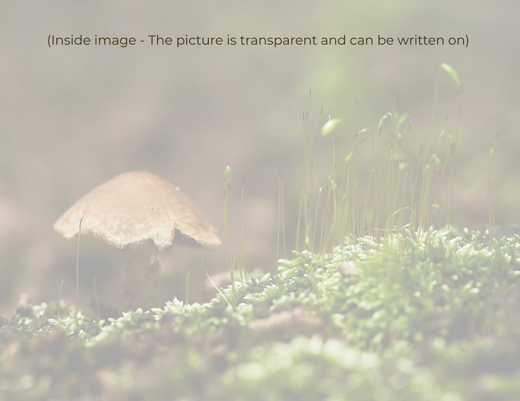 art card showing transparent artwork layer and writable interior