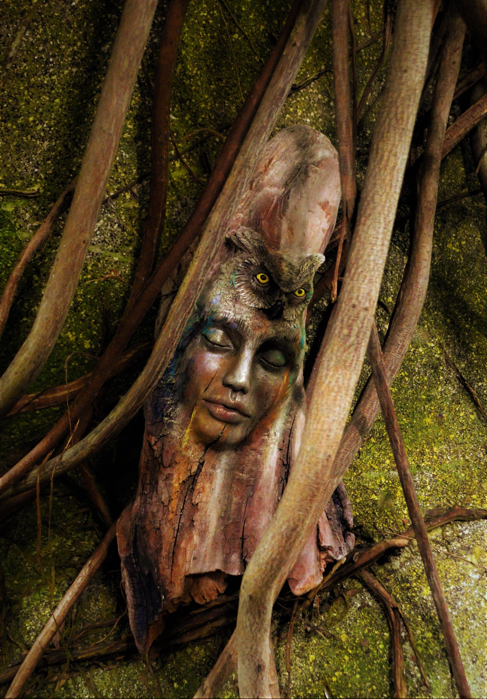 ANY Canvas Print, Choose Your Size & Image, Shaping Spirit