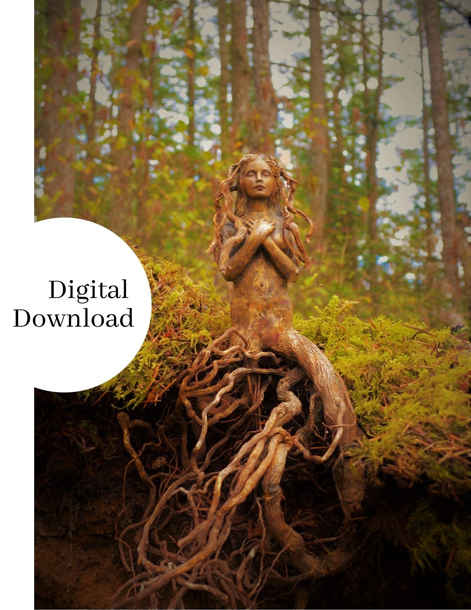Digital Image, "The Tree and Me" - High Resolution, Printable Art by Debra Bernier