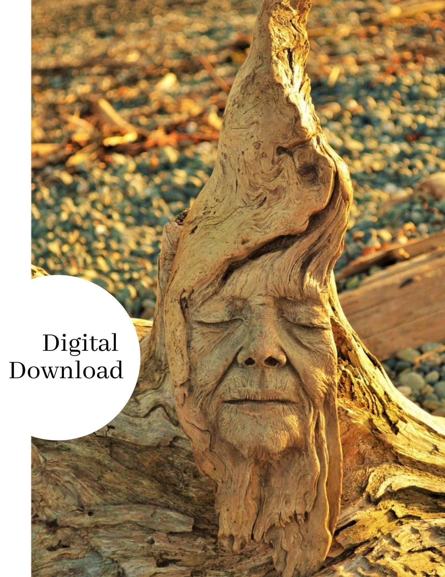 Digital Image, "Wisdom in Wood" - High Resolution, Printable Art by Debra Bernier