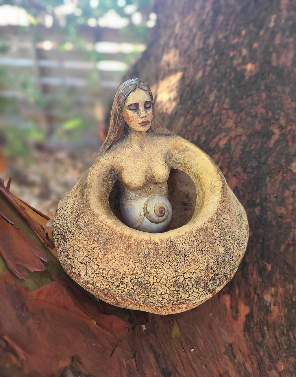 The Center of Your Being, Monkey Pot Bowl