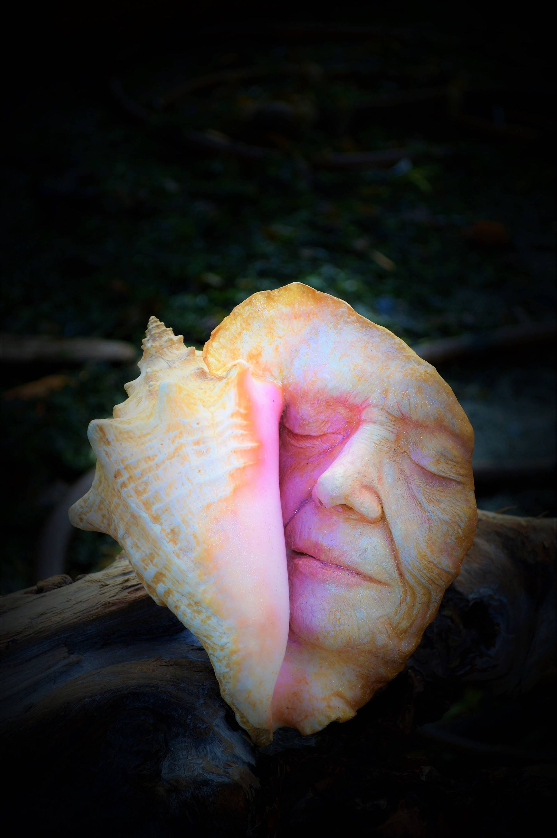 Memories of the Past, Seashell Woman, Beach Secret, Conch Shell Sculpture by ShapingSpirit