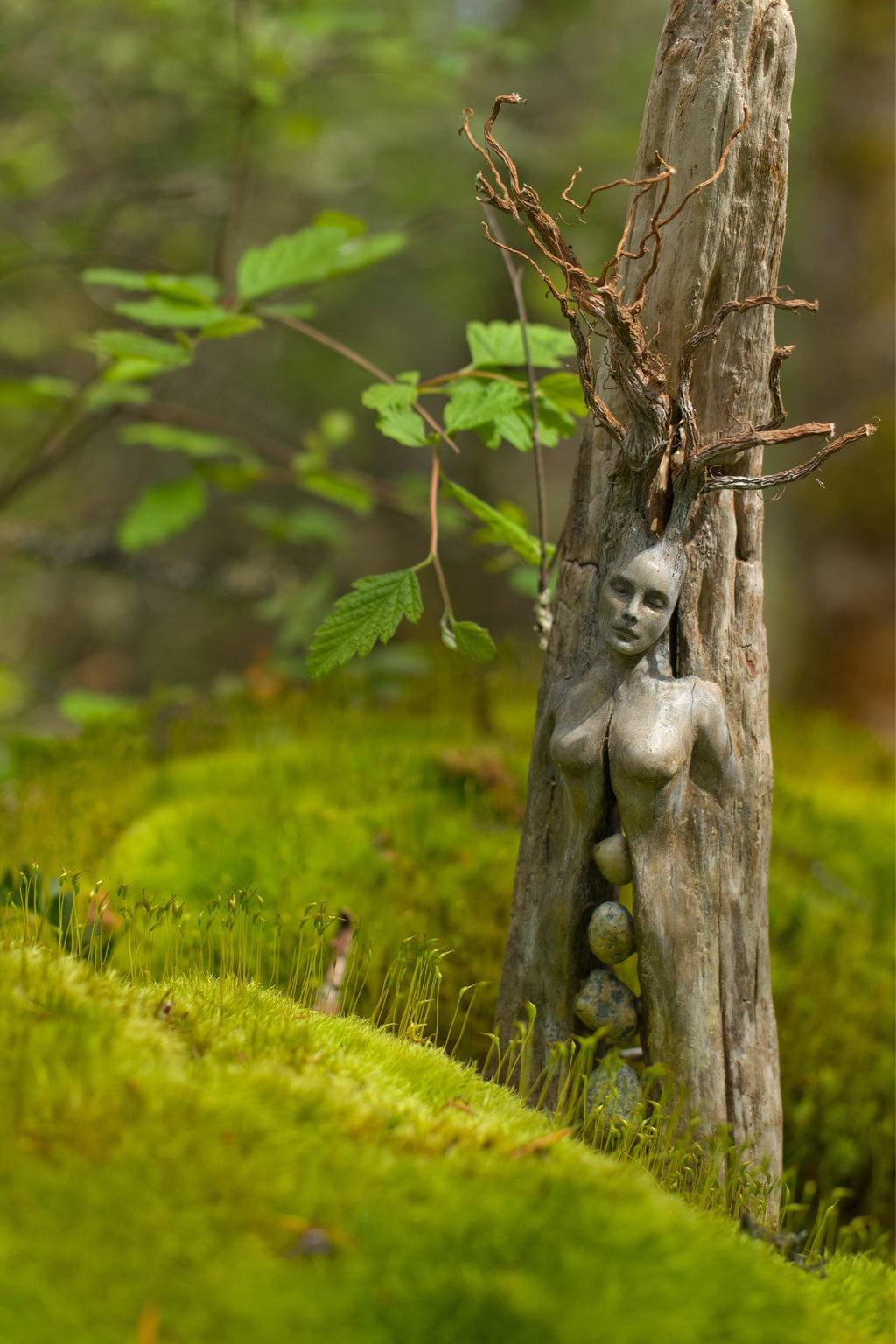 FREE SHIPPING - Art Card, Spirit Tree Woman with Stones, by Debra Bernier, Shaping Spirit