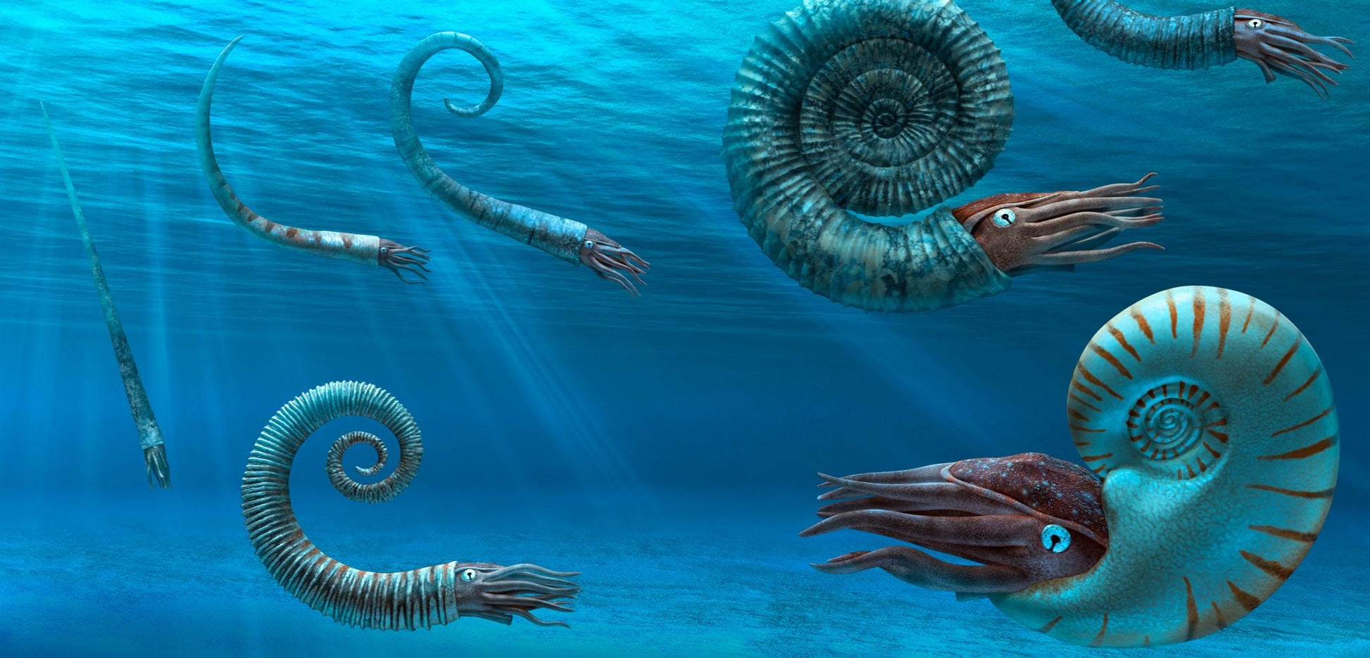 Ammonite Woman, Ancient Spirit Sculpture, by Debra Bernier, Shaping Spirit