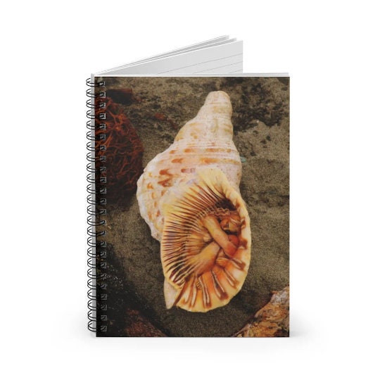 Custom Journal Notebook , Shaping Spirit Diary