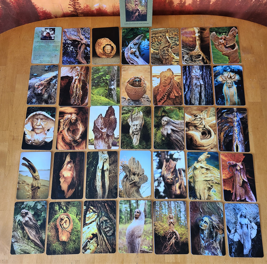 Spread of Forest Journey Deck cards showing the front of woodland artwork and inspirational prompts