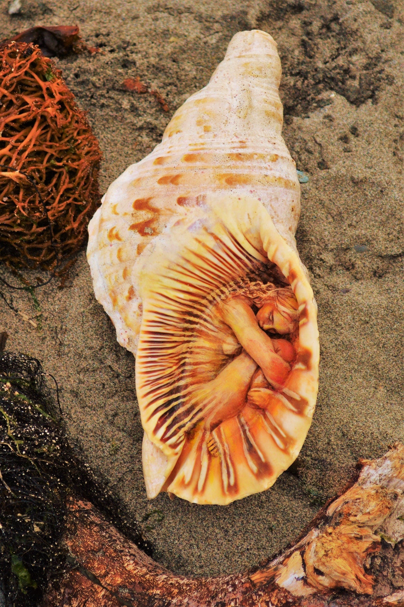 inspirational art card featuring meaningful spiritual artwork by Debra Bernier