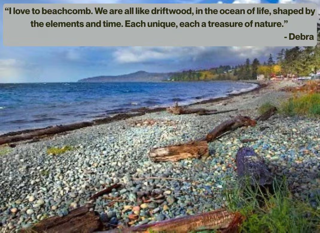 Beach scene with pebbles, driftwood, and a quote by Debra.