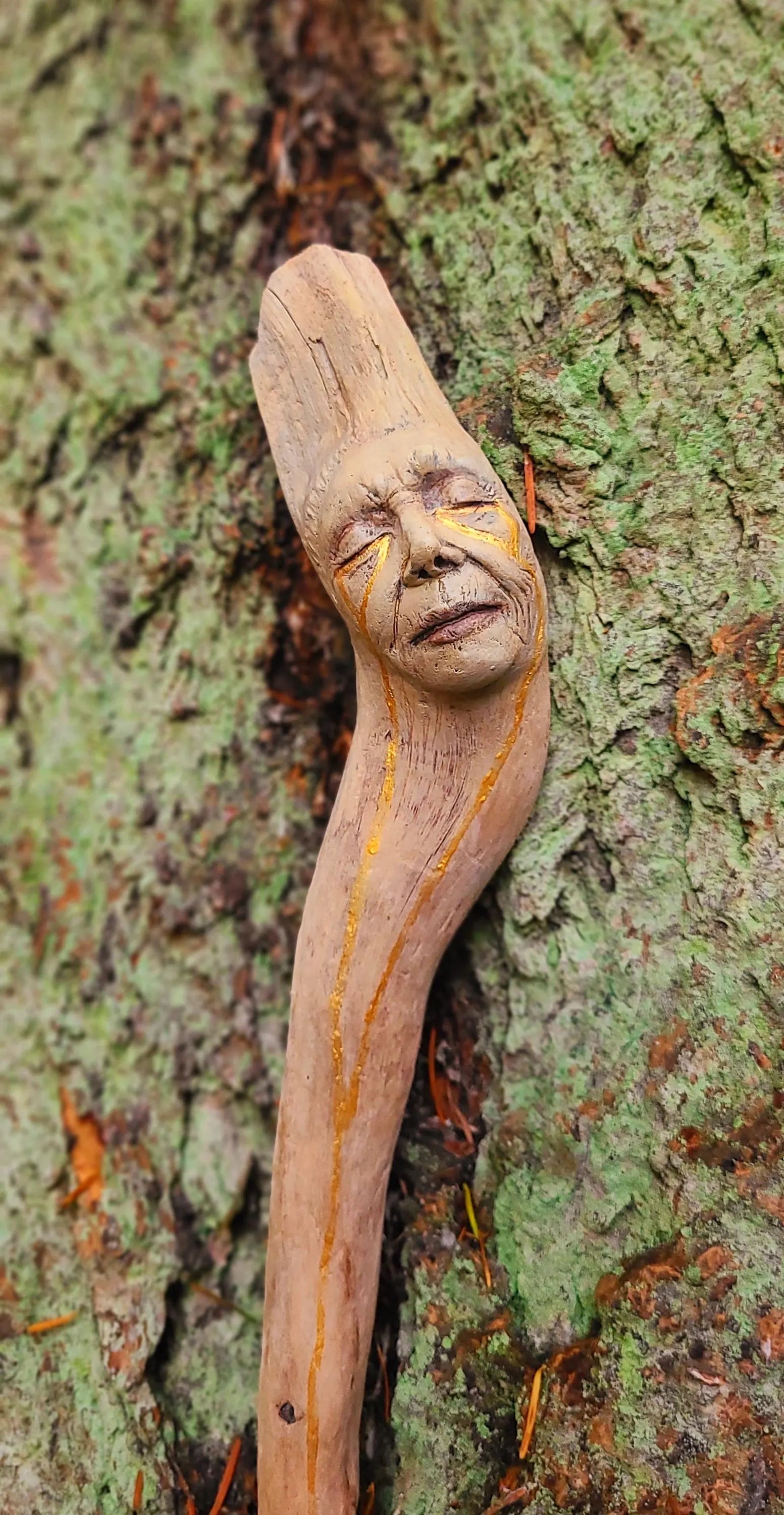 All The Light We Do Not See, Driftwood talking-stick artwork, by Shaping Spirit, Debra Bernier