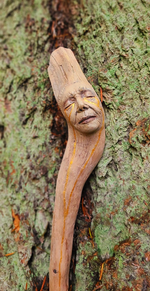 All The Light We Do Not See, Driftwood talking-stick artwork, by Shaping Spirit, Debra Bernier