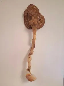 Mushroom Woman Driftwood Wand Sculpture