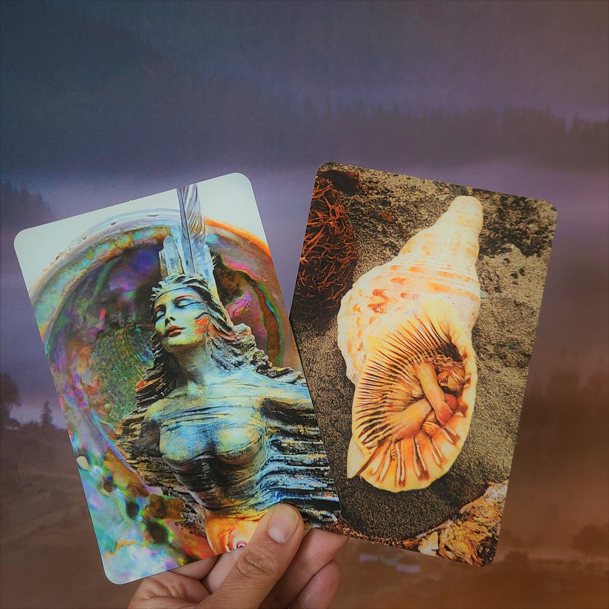 Close up of Ocean Journey Deck card showing guidance question text and marine artwork detail