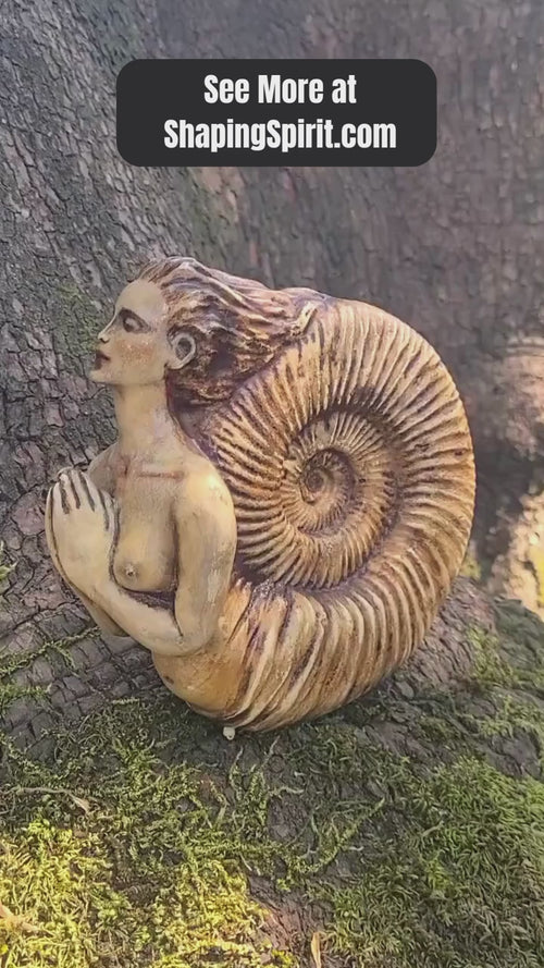 Ammonite Woman fossil inspired sculpture styled in nature inspired home decor and meditation space