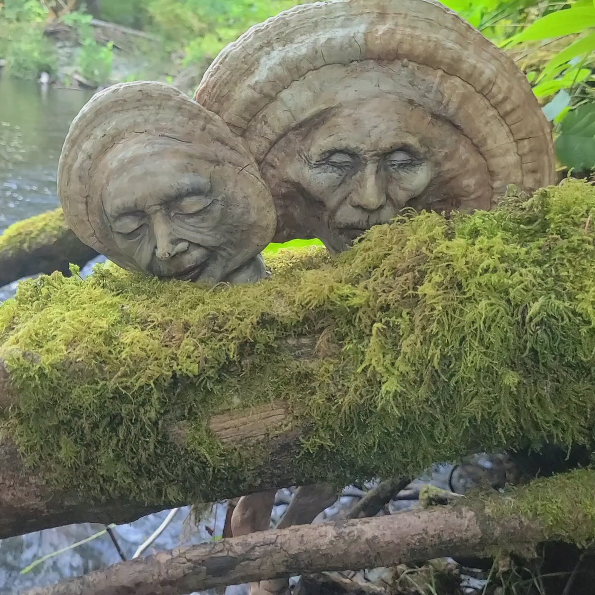 Mushroom Couple Sculpture, Polypore & Driftwood Artwork, by Shaping Spirit