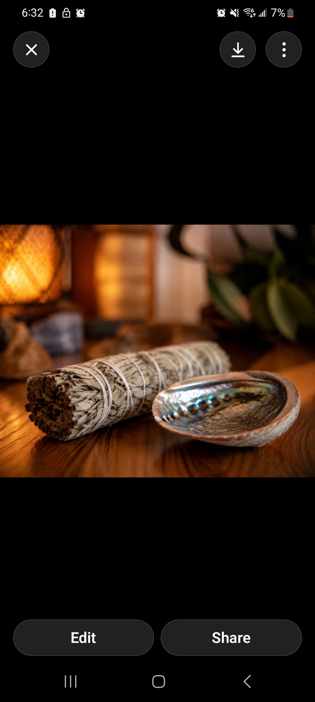 Spirit Bear Bowl | Protection, Healing & Intention Home Decor