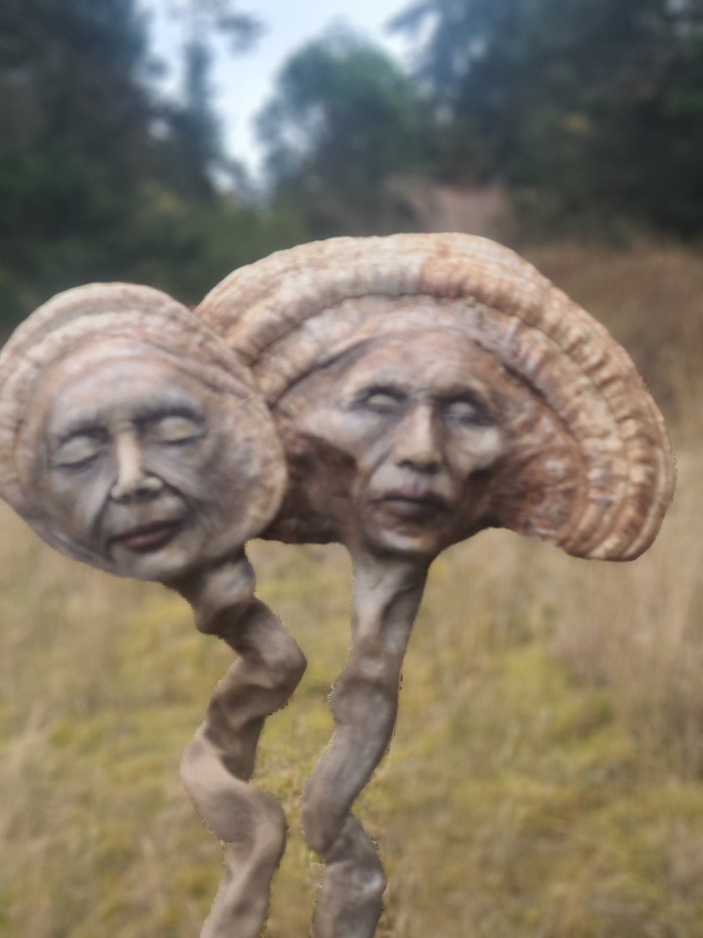Mushroom Couple Sculpture, Polypore & Driftwood Artwork, by Shaping Spirit