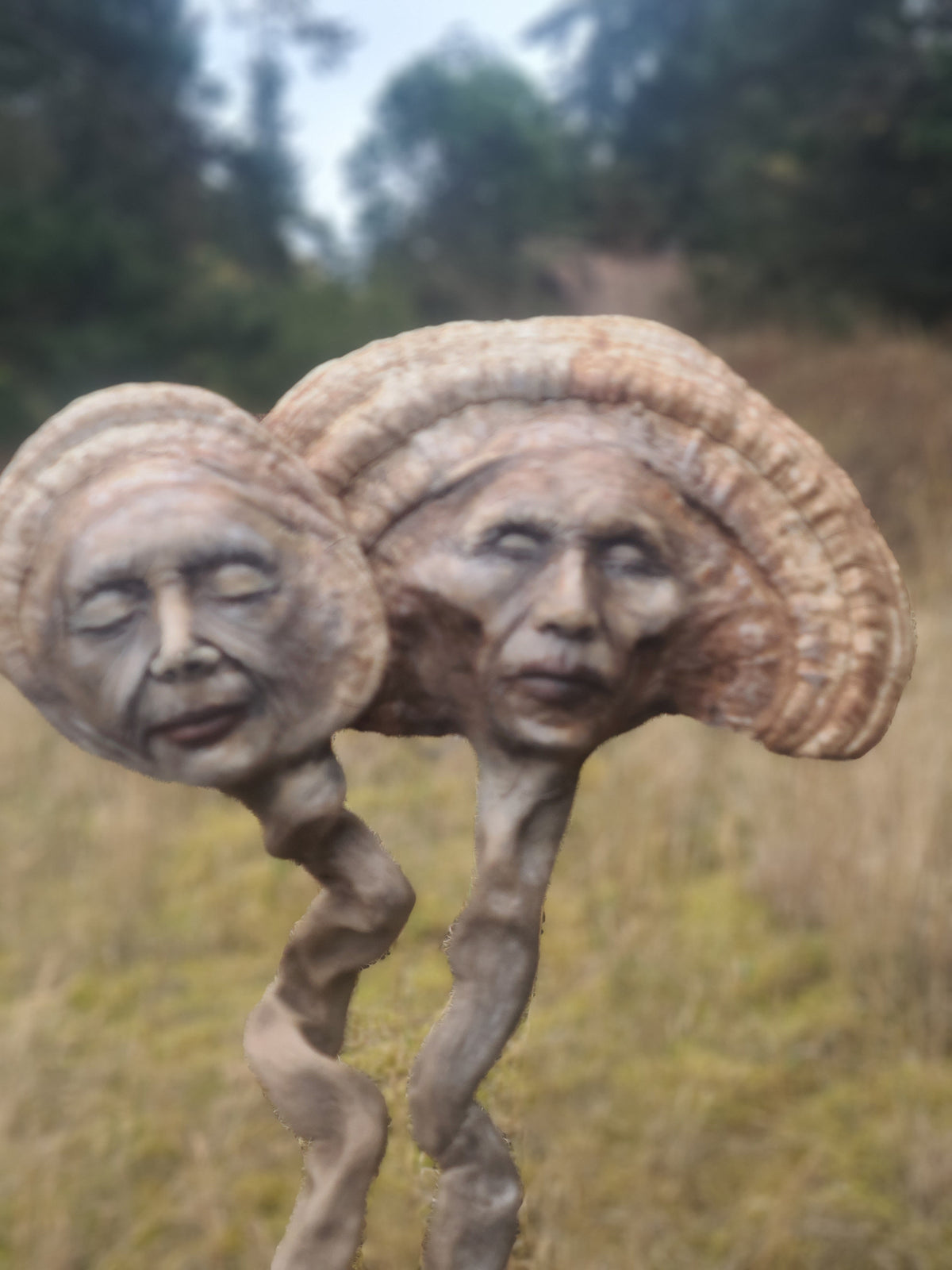 Mushroom Couple Sculpture, Polypore & Driftwood Artwork, by Shaping Spirit
