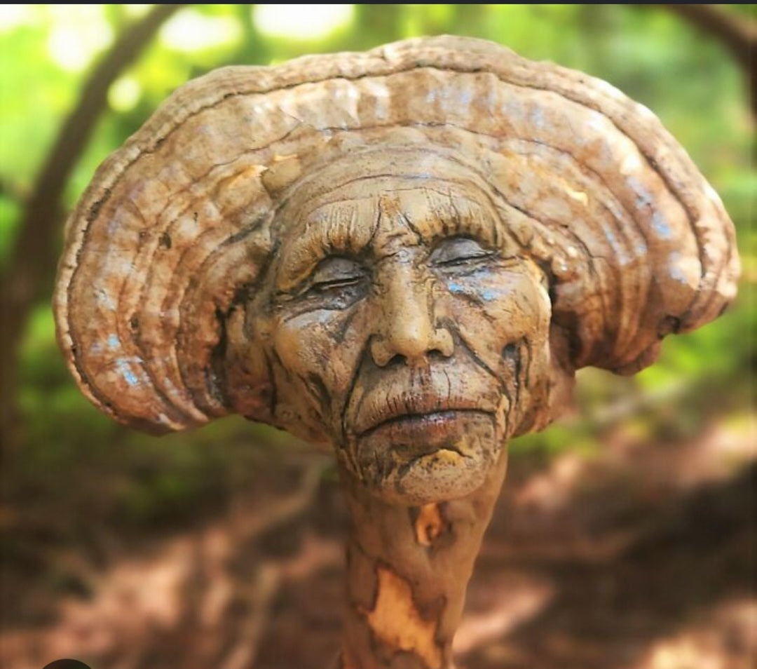Mushroom Man Wand, Driftwood Fungi Sculpture