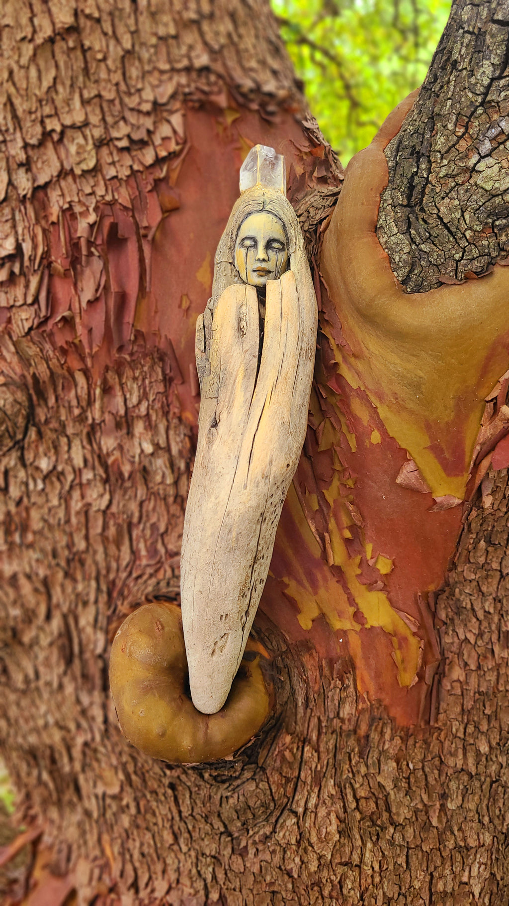 Sleeping Seed Driftwood Eoman with Quartz Crystal by Debra Bernier, Shaping Spirit