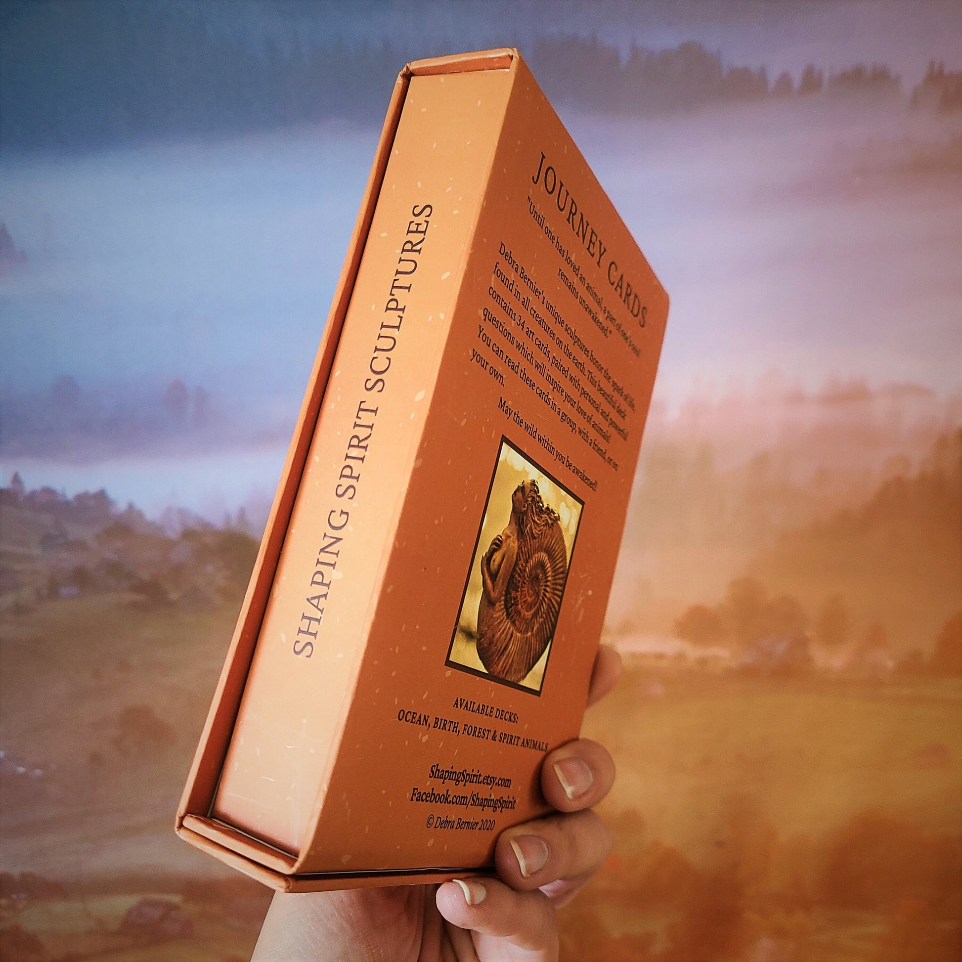 Close up of Spirit Animal Journey Deck card box 